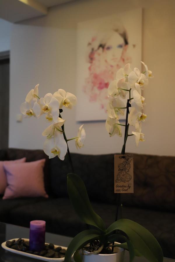 לימנריה Deluxe Apartments Andreas מראה חיצוני תמונה